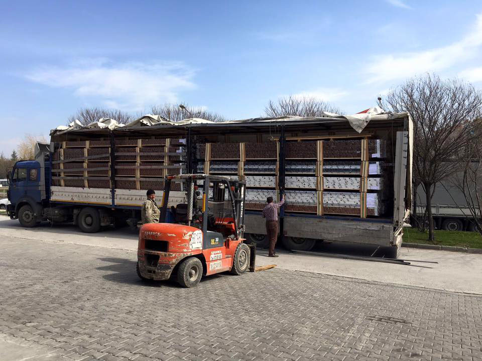 We exported to France.